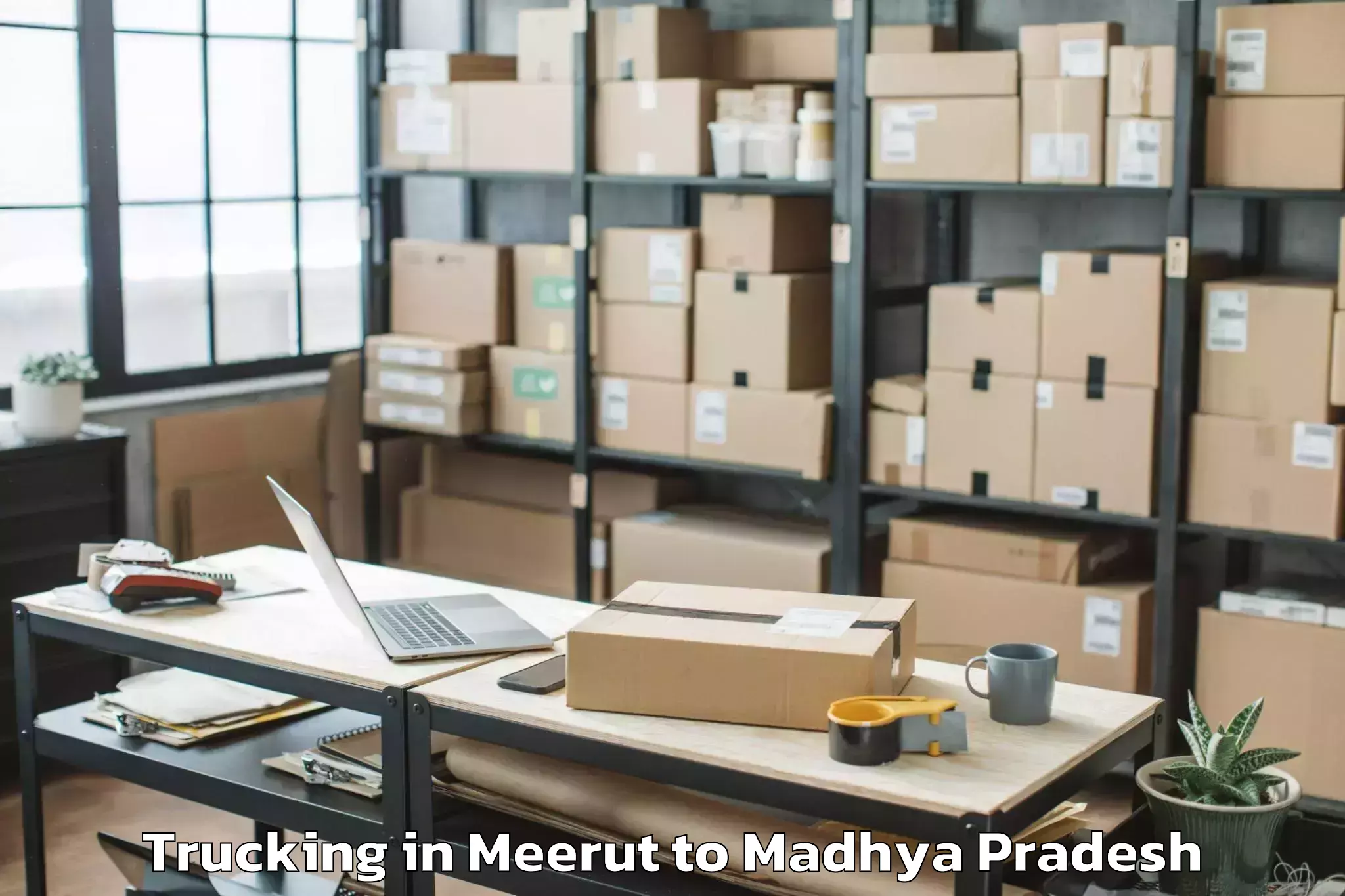 Leading Meerut to Nasrullaganj Trucking Provider